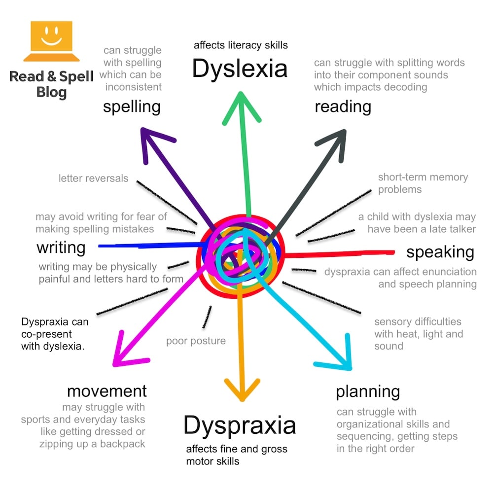 What’s the difference between dyslexia and dyspraxia?