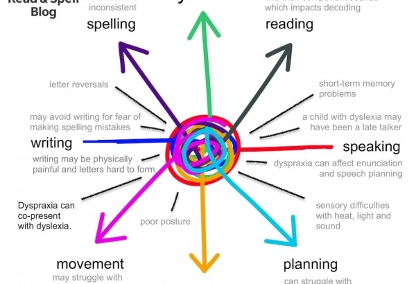 What’s the difference between dyslexia and dyspraxia?